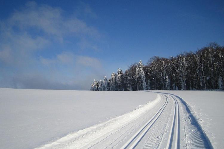 Cozy Apartment In Sonnen Bavaria Near Forest ภายนอก รูปภาพ
